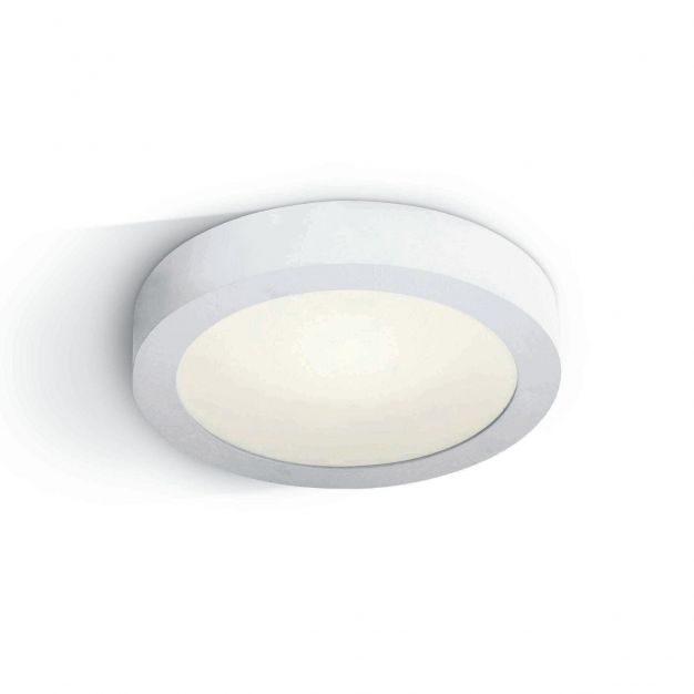 ONE Light LED Plafo Round - plafondverlichting - Ø 30 x 3,9 cm - 30W LED incl. - IP40 - wit - witte lichtkleur